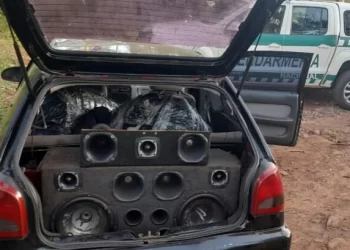 Gendarmería incautó casi 100 kilos de marihuana en Hipólito Yrigoyen