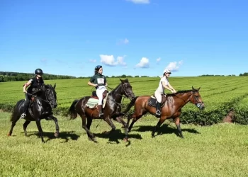 Se realizó con éxito la 7ma fecha de Endurance Ecuestre