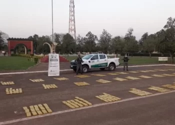 Incautan 720 kilogramos de marihuana en Jardín América