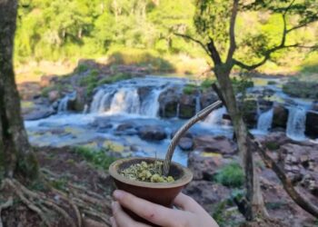 Turismo en Misiones: el mate, un valor agregado