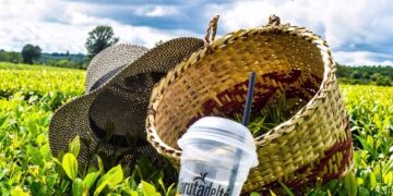 Misiones se posiciona como destino turístico para todas las temporadas