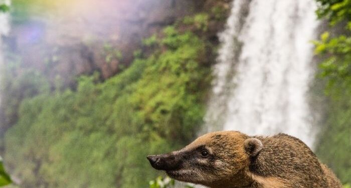 La provincia continúa apostando al desarrollo del turismo sostenible