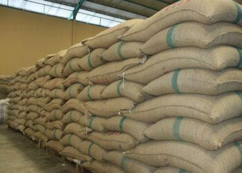 Milei derogó la ley que aseguraba el envasado de yerba en la región productora