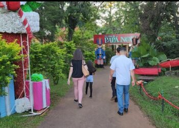 Leandro N Alem | Con entrada gratuita, este domingo continúa la Fiesta Nacional de la Navidad del Litoral: Conoce el cronograma