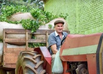 Respaldo del sector productivo a la creación del Instituto Misionero de la Yerba Mate