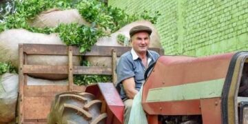 Respaldo del sector productivo a la creación del Instituto Misionero de la Yerba Mate