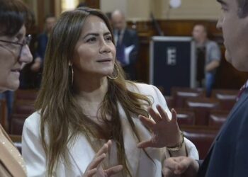 Sonia Rojas Decut: “Vamos a defender los intereses de nuestras economías regionales”