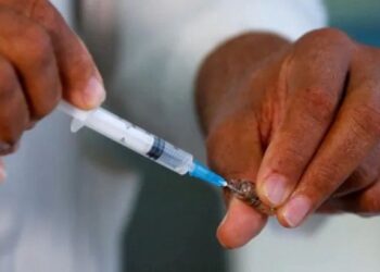 Misiones es la primera provincia del NEA en aplicar la vacunación gratuita contra el dengue