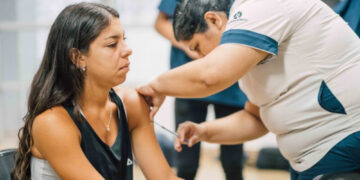Comienza la vacunación contra el dengue en Iguazú y Eldorado: cómo sacar turno desde Alegramed