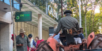 Un mercado paralelo para la yerba: nace el INYM “blue”