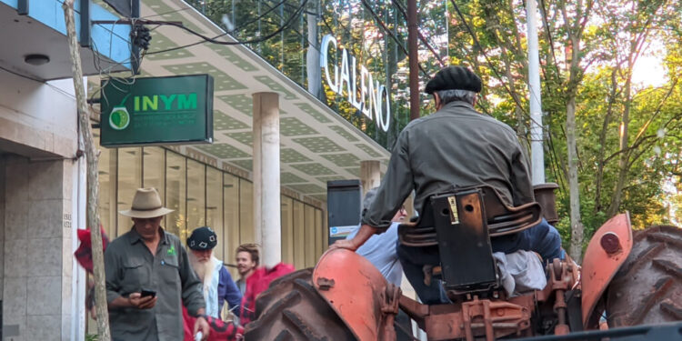 Un mercado paralelo para la yerba: nace el INYM “blue”