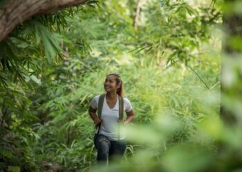 Misiones lidera las acciones para mitigar el cambio climático en el Noreste Argentino