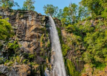 La Cámara de Representantes declaró al Arroyo Paca Área Natural Protegida