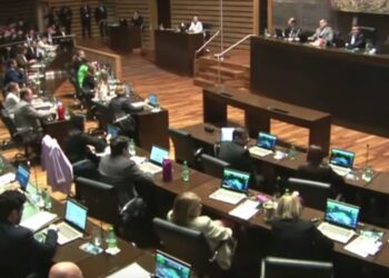 Misiones crea un Programa para el abordaje integral de enfermedades cerebrovasculares