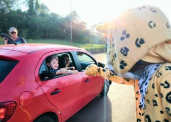 Iguazú se suma a la campaña de concientización para frenar el atropellamiento animal