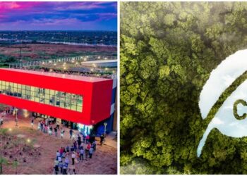 ABRIRSE CAMINO PROPIO