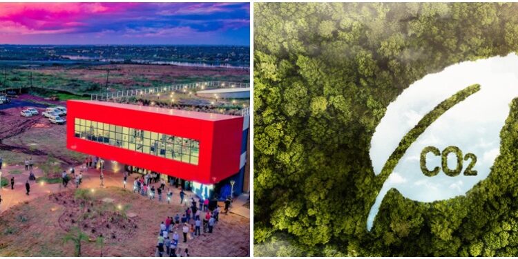 ABRIRSE CAMINO PROPIO