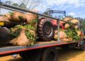 Desregulación del Inym: advierten que las medidas impulsadas por Nación podrían trasladar los costos al productor y reducir la trazabilidad